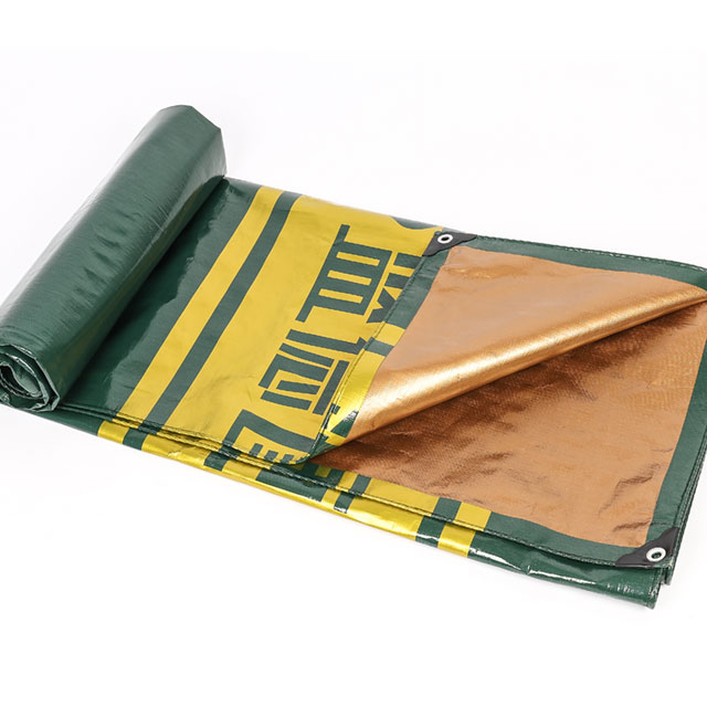 Welche Art von PE -Tarpaulin ist die am besten geeignete Plane für die menschliche Entwicklung?